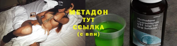 стаф Алексин