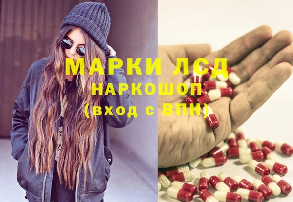 стаф Алексин