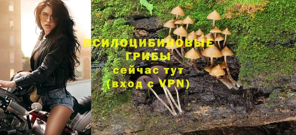 стаф Алексин