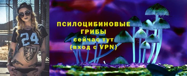 стаф Алексин