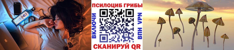 ОМГ ОМГ ссылка  магазин  наркотиков  Андреаполь  Псилоцибиновые грибы Psilocybine cubensis 