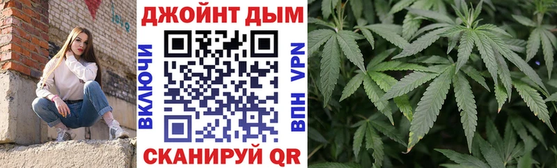 закладка  Андреаполь  Канабис индика 